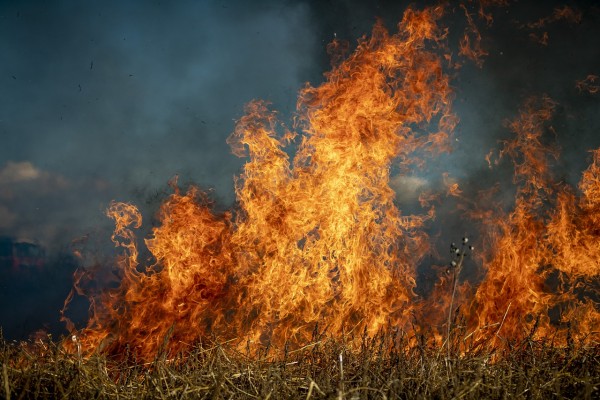 La "caza" origen de más de un centener de incendios en Castilla y León