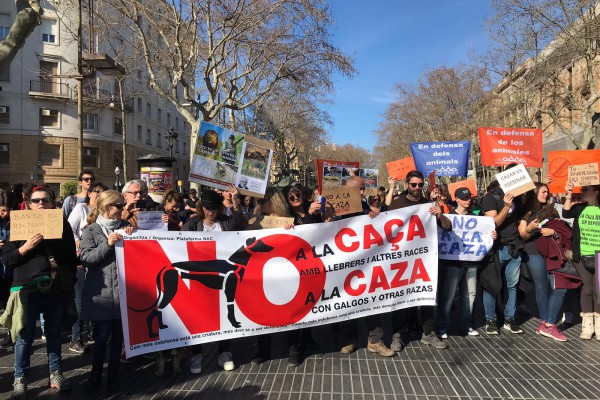 Ong ADDA se adhiere un año más a la convocatoria No a la Caza