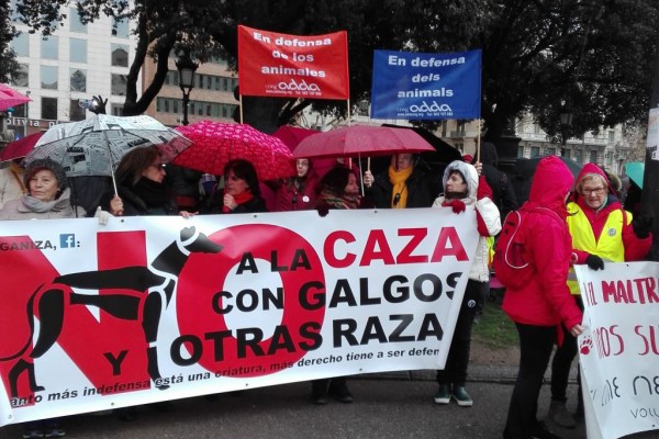 Ong ADDA presente en la acción contra la caza con galgos