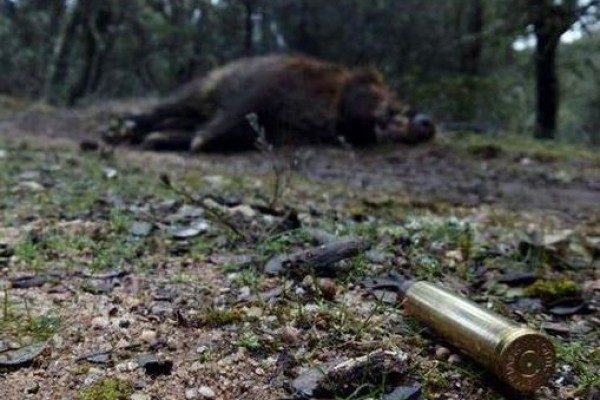 Consignas para maquillar las cacerías