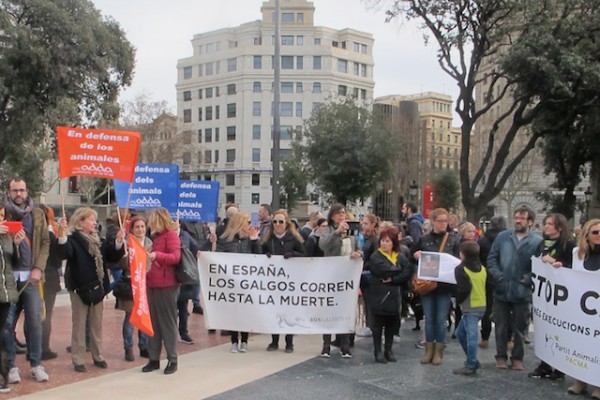 ADDA, en el rechazo a la caza