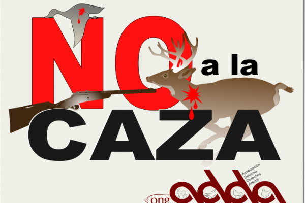 La naturaleza se ama y se respeta, no se caza