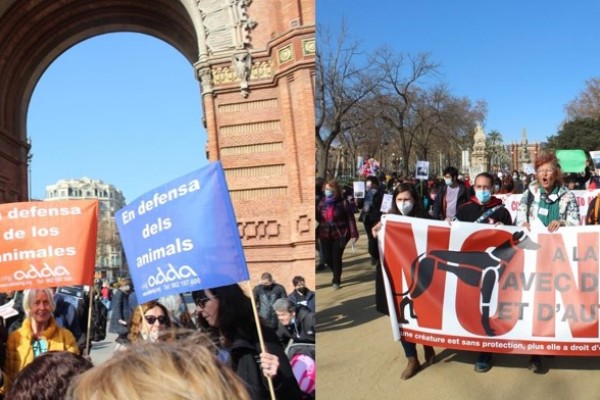 ADDA participa, un año más, en la convocatoria NO A LA CAZA