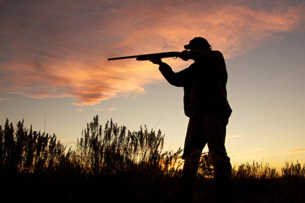 Ecologistes en Acció y ADDA denuncian privilegios a los cazadores y ocultación de los peligros de la caza