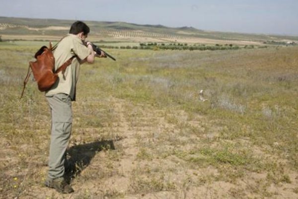 Castilla-La Mancha "anima" a matar a conejos durante el confinamiento por el Covid19